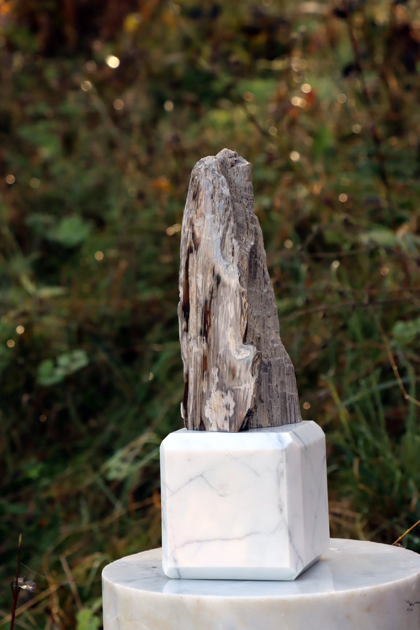 Oltář Srdce zkamenělého dubu - Supreme Panthers