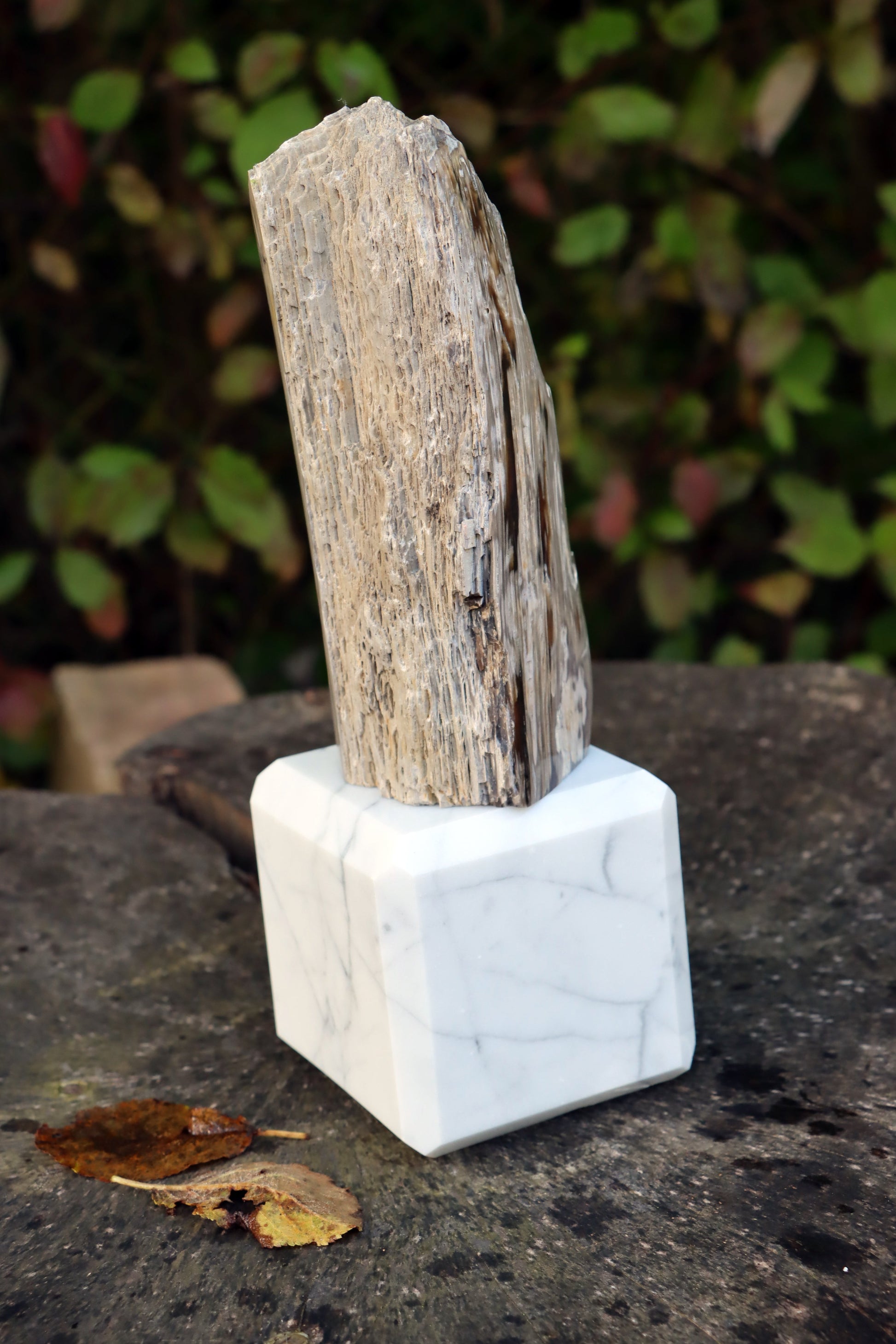 Oltář Srdce zkamenělého dubu - Supreme Panthers