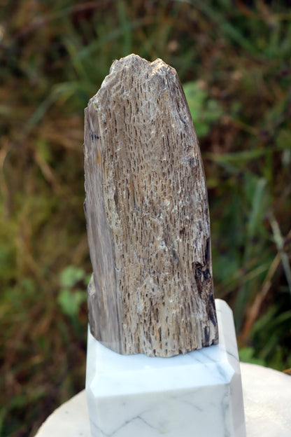 Oltář Srdce zkamenělého dubu - Supreme Panthers