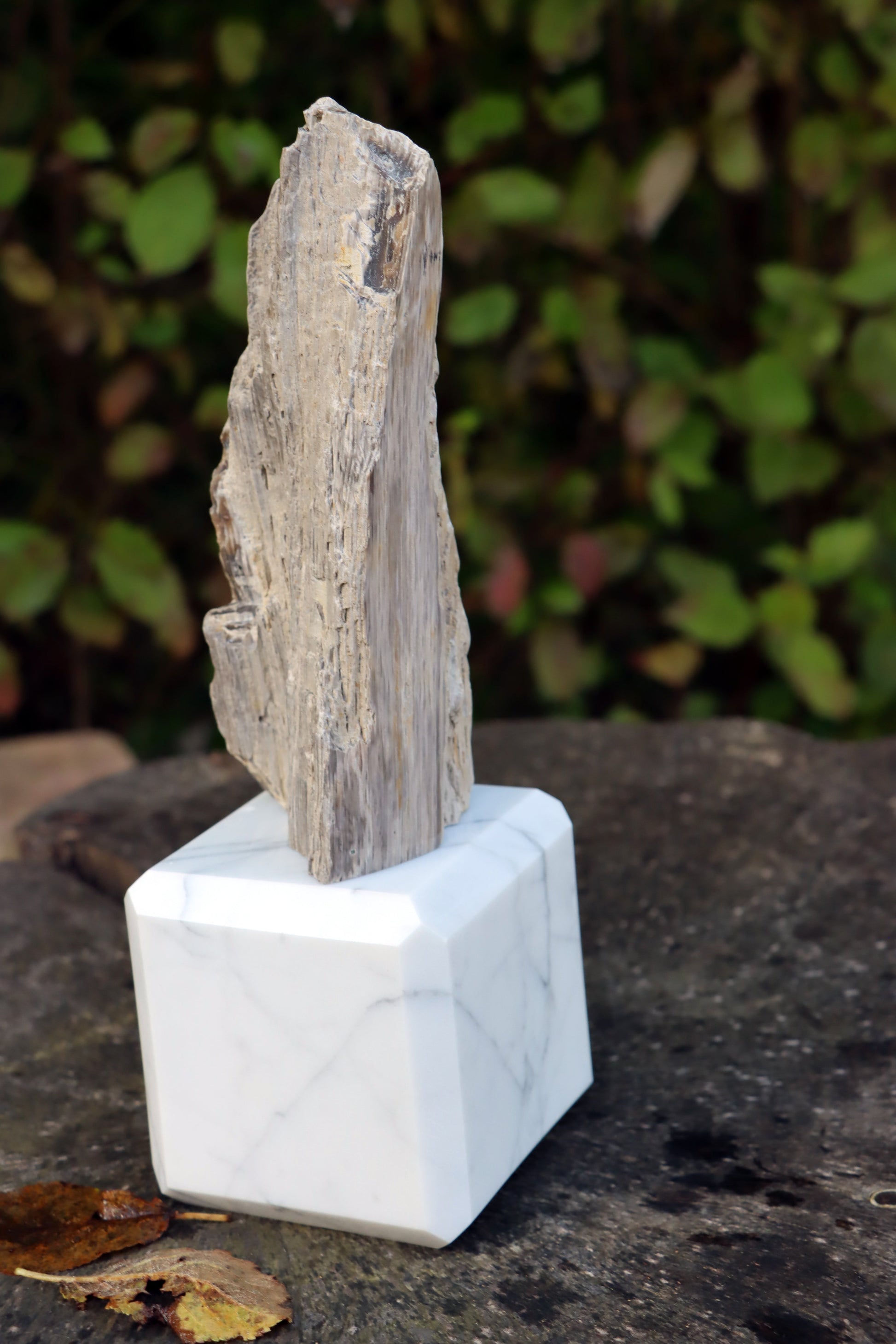 Oltář Srdce zkamenělého dubu - Supreme Panthers