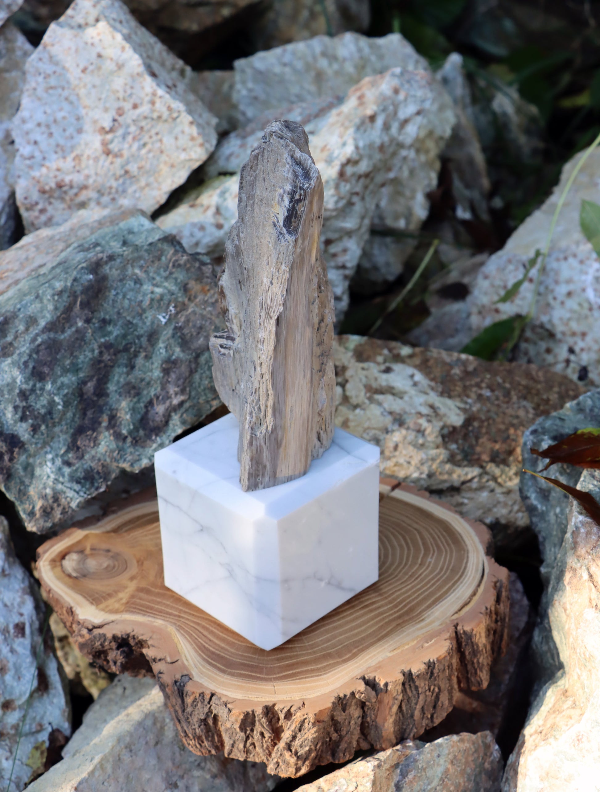 Oltář Srdce zkamenělého dubu - Supreme Panthers