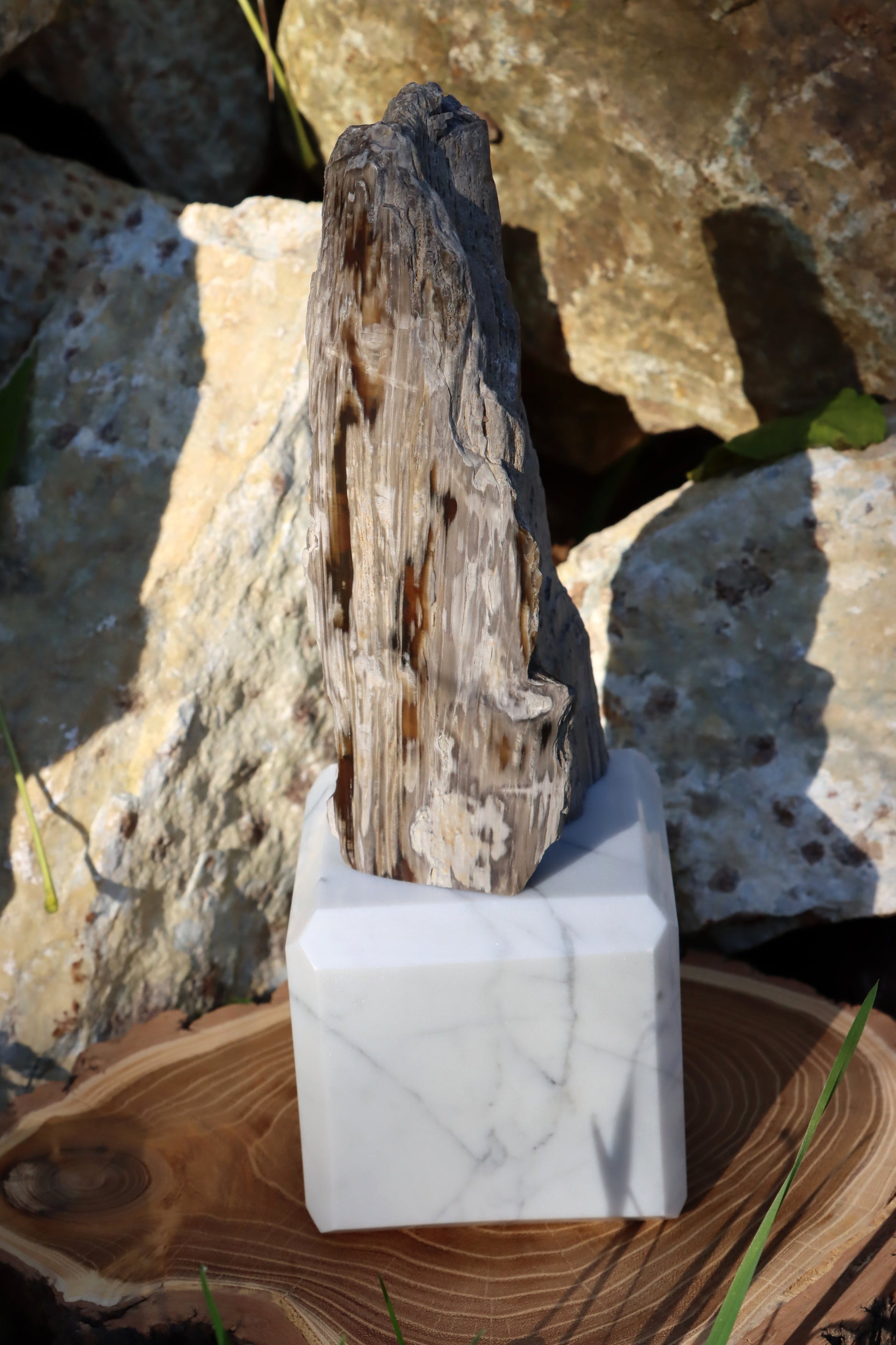 Oltář Srdce zkamenělého dubu - Supreme Panthers