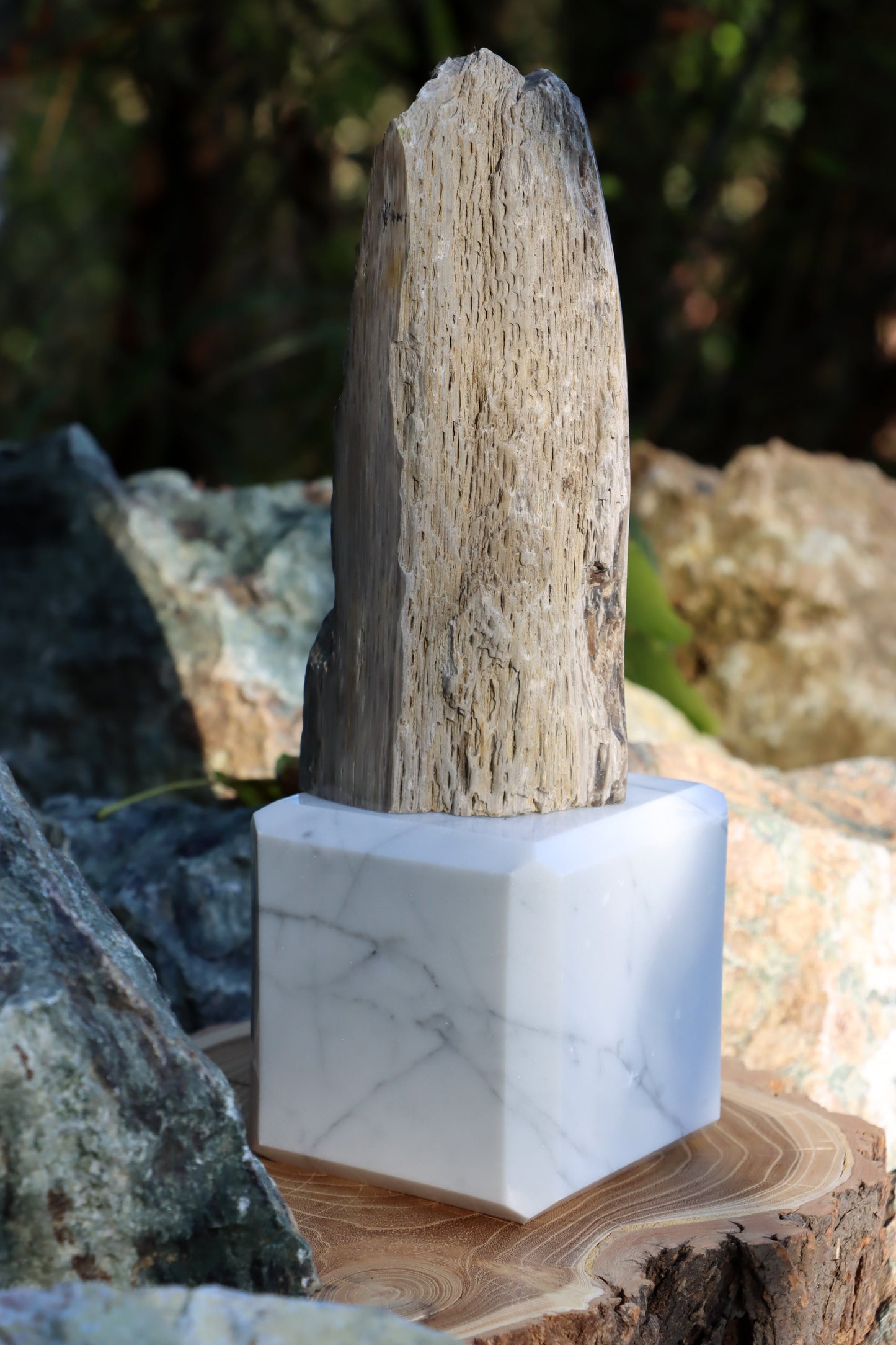 Oltář Srdce zkamenělého dubu - Supreme Panthers