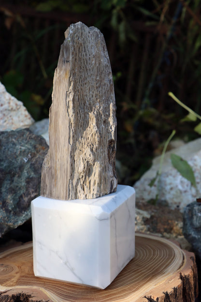 Oltář Srdce zkamenělého dubu - Supreme Panthers