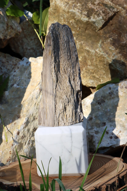 Oltář Srdce zkamenělého dubu - Supreme Panthers