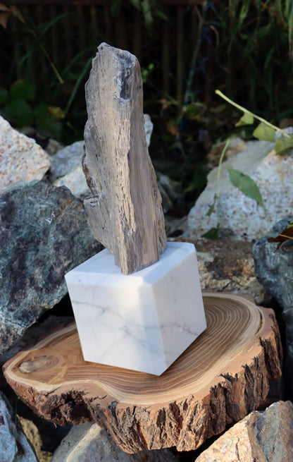 Oltář Srdce zkamenělého dubu - Supreme Panthers