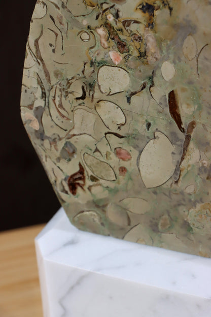 Oltář věčného propojení malý: Příbojáč a Bílý mramor - Supreme Panthers