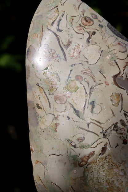 Oltář věčného propojení malý: Příbojáč a Bílý mramor - Supreme Panthers