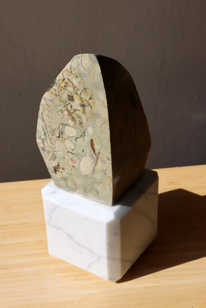 Oltář věčného propojení malý: Příbojáč a Bílý mramor - Supreme Panthers