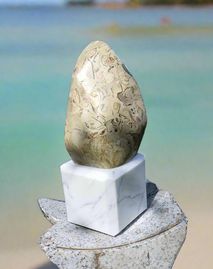 Oltář věčného propojení malý: Příbojáč a Bílý mramor - Supreme Panthers