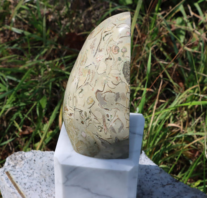 Oltář věčného propojení malý: Příbojáč a Bílý mramor - Supreme Panthers