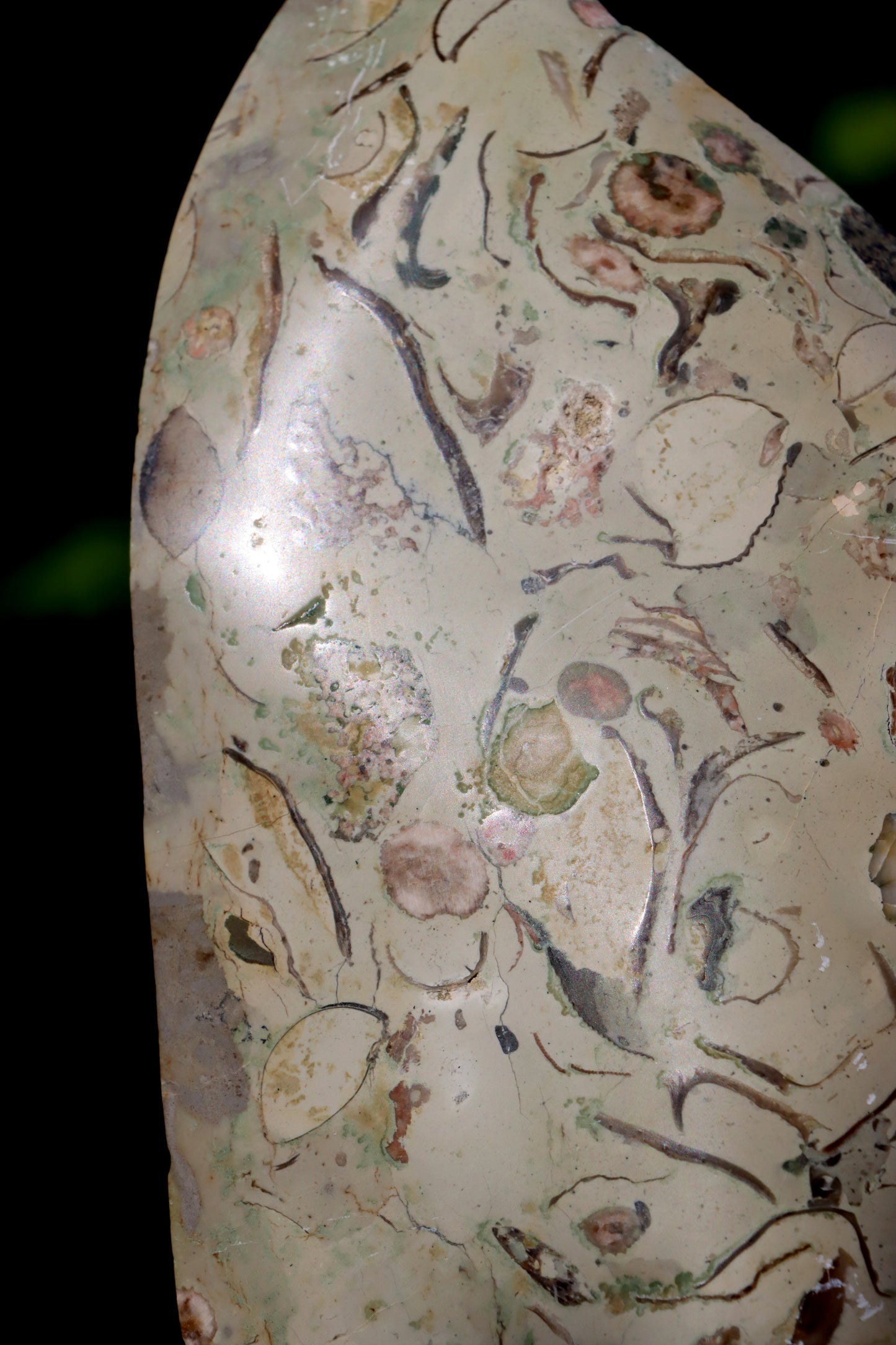 Oltář věčného propojení malý: Příbojáč a Bílý mramor - Supreme Panthers