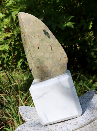 Oltář věčného propojení malý: Příbojáč a Bílý mramor - Supreme Panthers