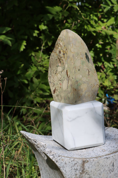 Oltář věčného propojení malý: Příbojáč a Bílý mramor - Supreme Panthers