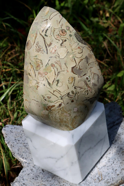 Oltář věčného propojení malý: Příbojáč a Bílý mramor - Supreme Panthers