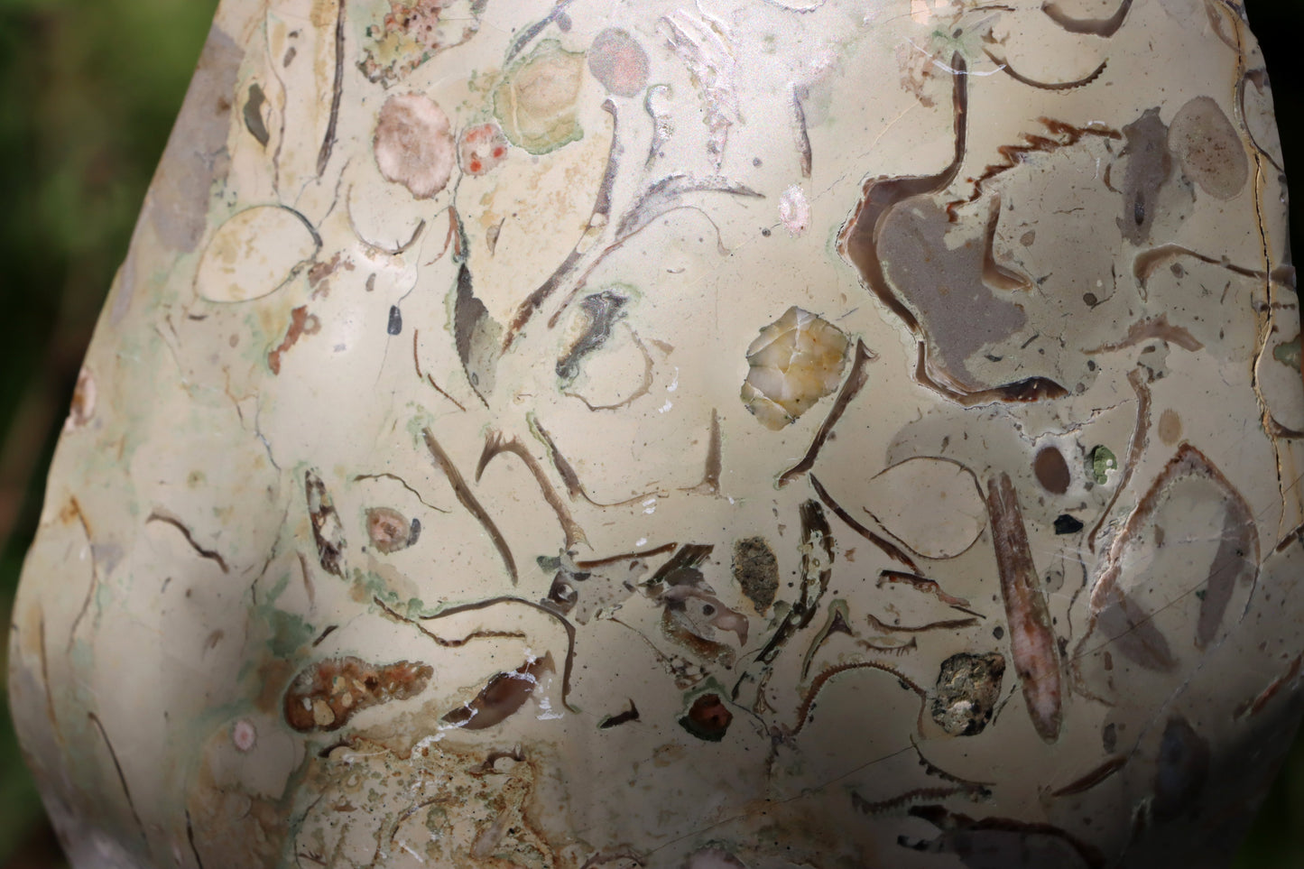 Oltář věčného propojení malý: Příbojáč a Bílý mramor - Supreme Panthers