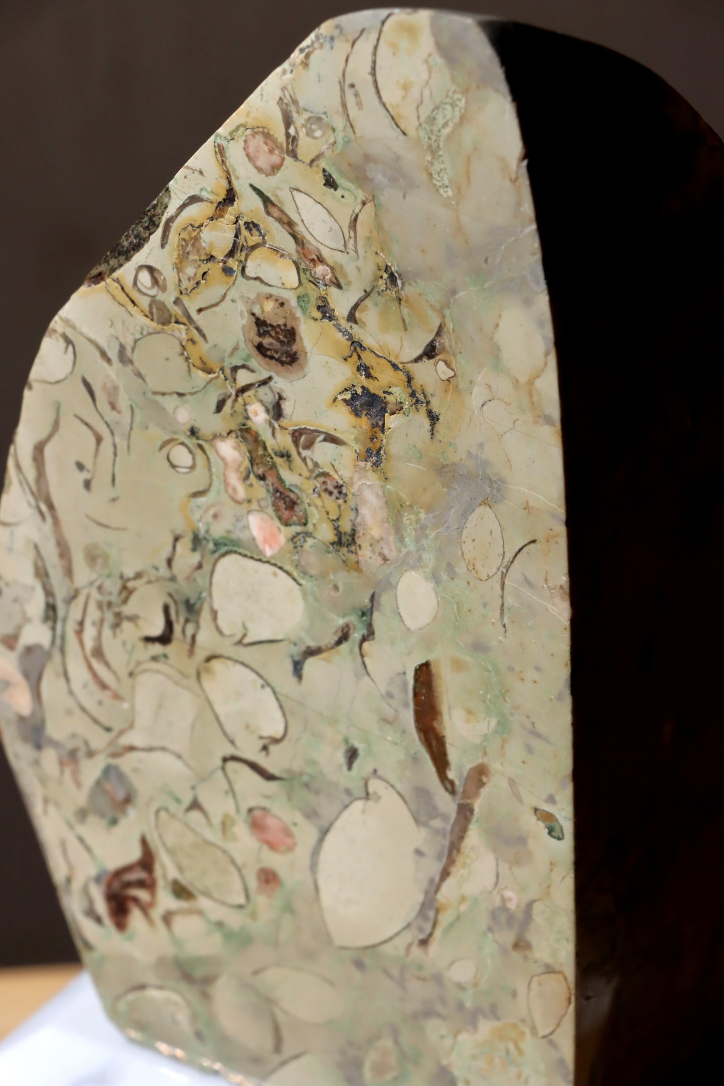 Oltář věčného propojení malý: Příbojáč a Bílý mramor - Supreme Panthers