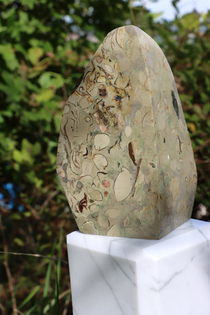 Oltář věčného propojení malý: Příbojáč a Bílý mramor - Supreme Panthers