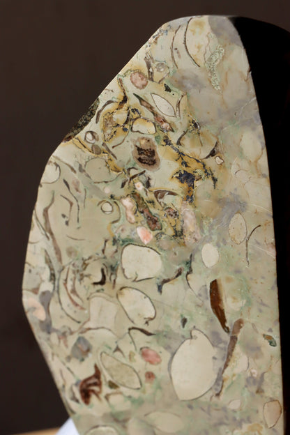 Oltář věčného propojení malý: Příbojáč a Bílý mramor - Supreme Panthers