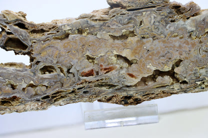 Opal - chalcedon krusta leštěná - Supreme Panthers