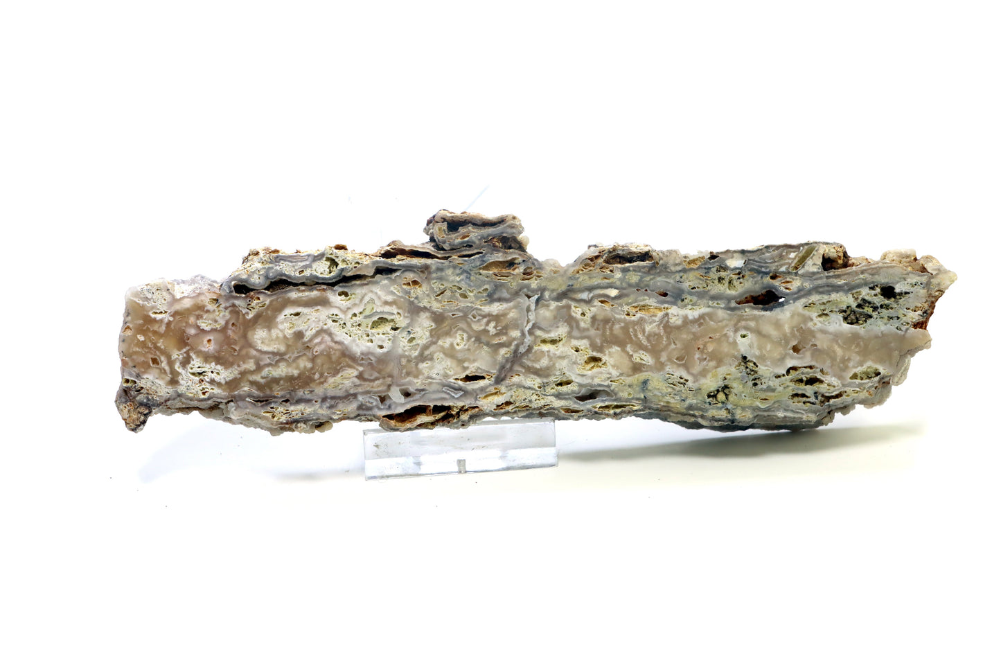 Opal - chalcedon krusta leštěná - Supreme Panthers
