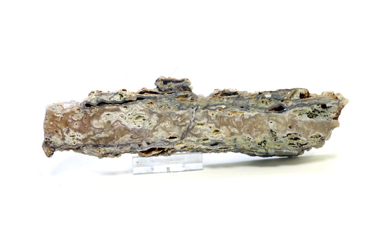 Opal - chalcedon krusta leštěná - Supreme Panthers