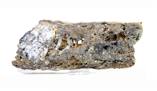 Opal - chalcedon krusta leštěná - Supreme Panthers