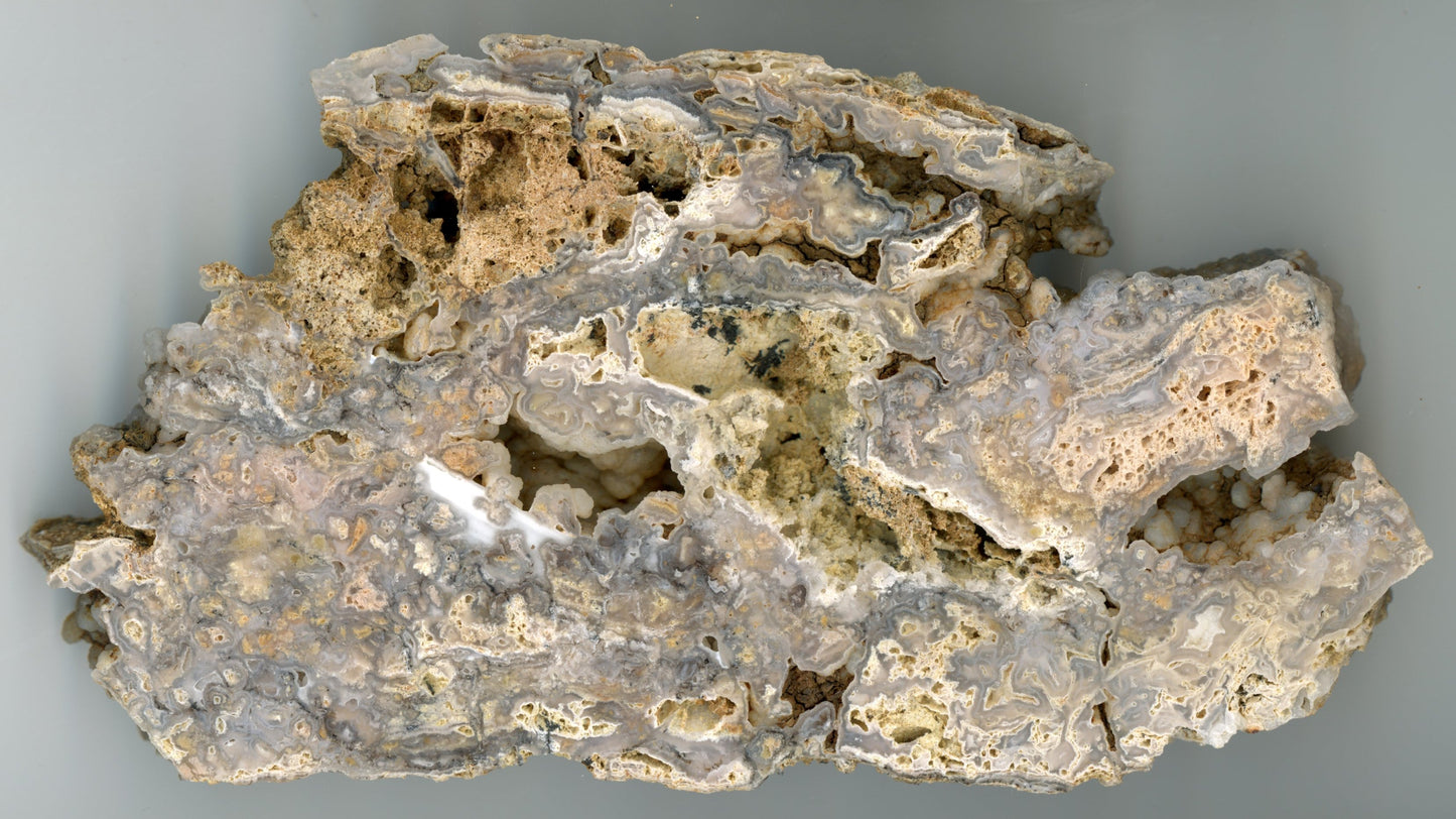 Opal - chalcedon krusta leštěná - Supreme Panthers