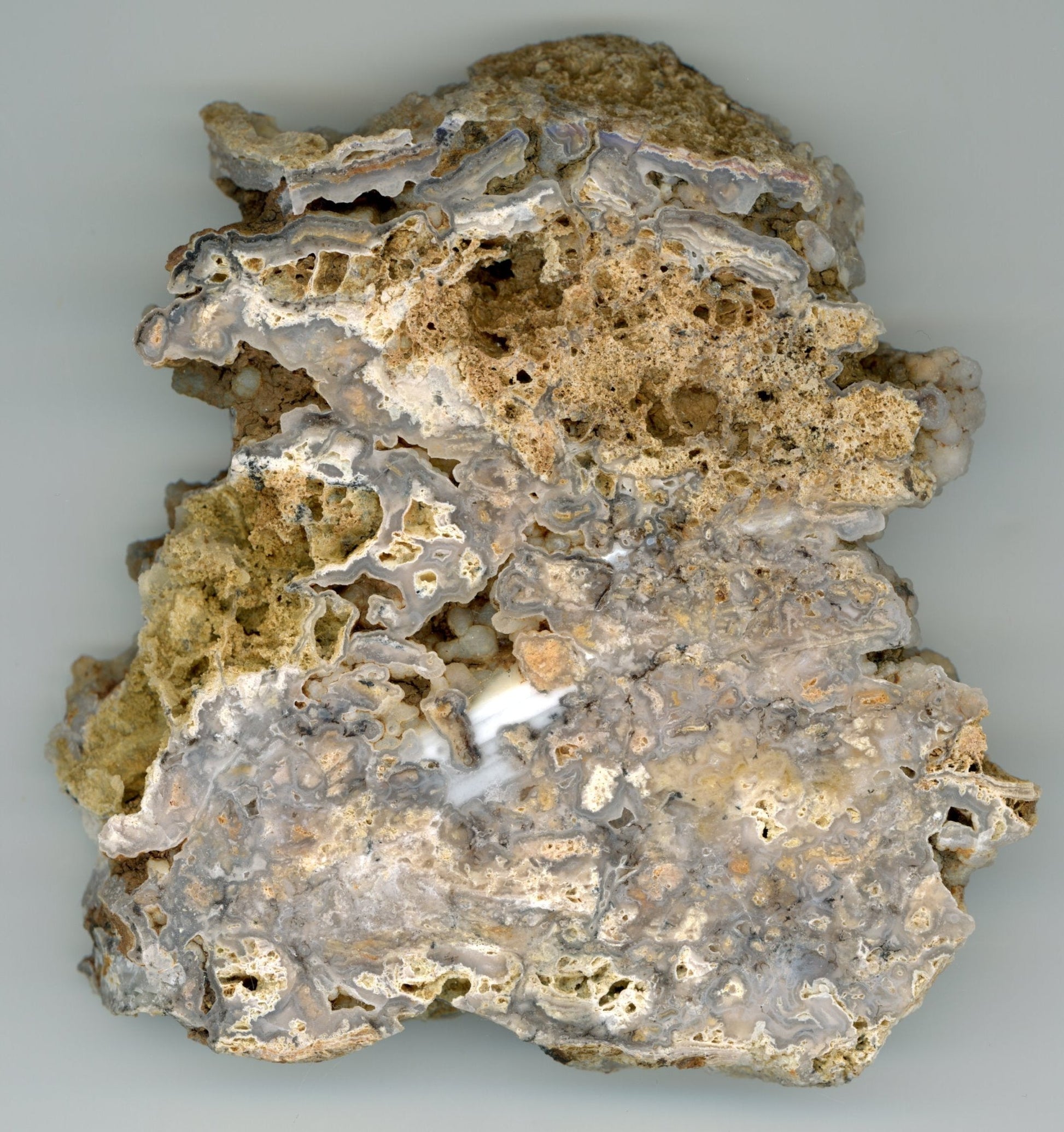 Opal - chalcedon krusta leštěná - Supreme Panthers
