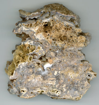 Opal - chalcedon krusta leštěná - Supreme Panthers