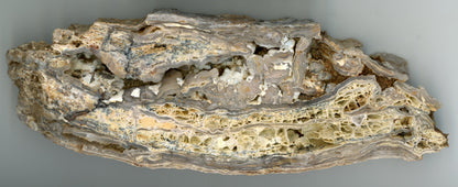 Opal - chalcedon krusta leštěná - Supreme Panthers