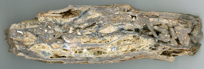 Opal - chalcedon krusta leštěná - Supreme Panthers