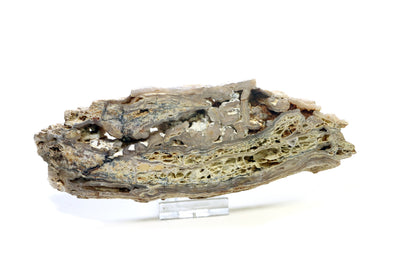 Opal - chalcedon krusta leštěná - Supreme Panthers