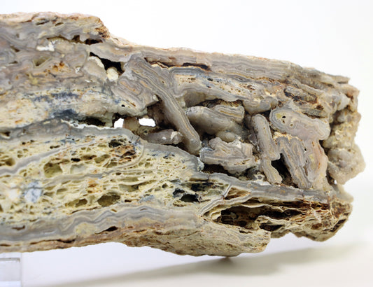 Opal - chalcedon krusta leštěná - Supreme Panthers