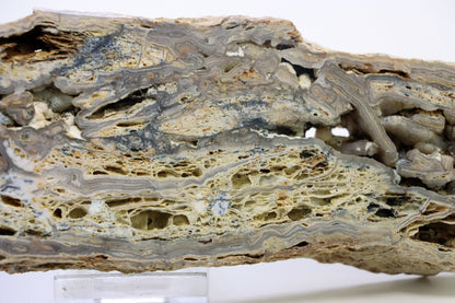 Opal - chalcedon krusta leštěná - Supreme Panthers
