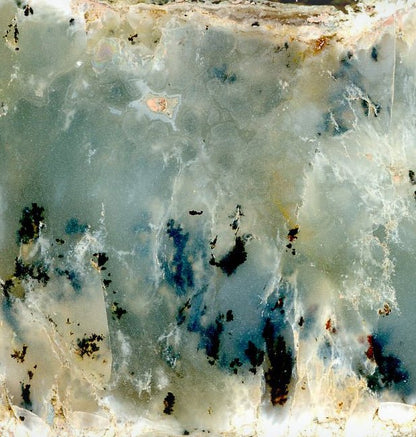 Opál dendritický - Supreme Panthers