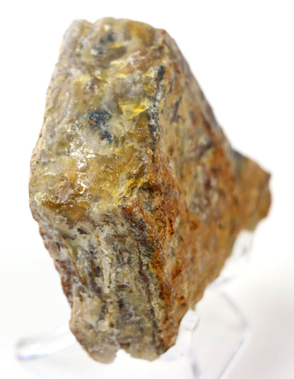 Opál karamelový surový - Supreme Panthers