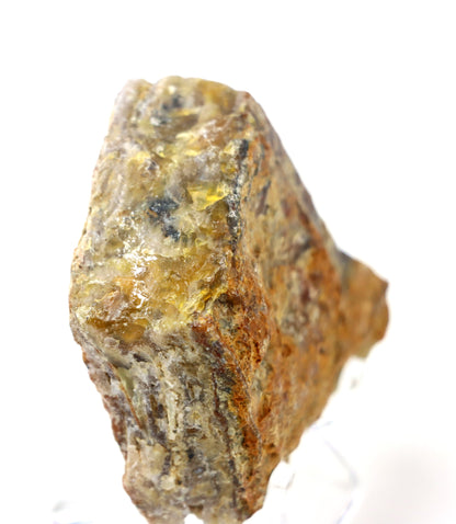 Opál karamelový surový - Supreme Panthers