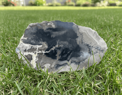 Opalizované jilmovité dřevo - Supreme Panthers