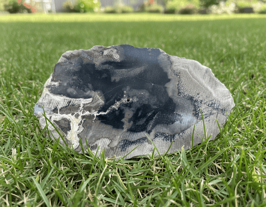 Opalizované jilmovité dřevo - Supreme Panthers