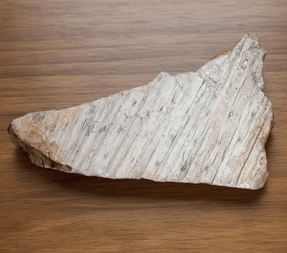 Otisk kůry plavuně - Supreme Panthers