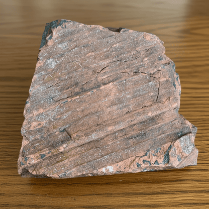 Otisk kůry plavuně - Supreme Panthers