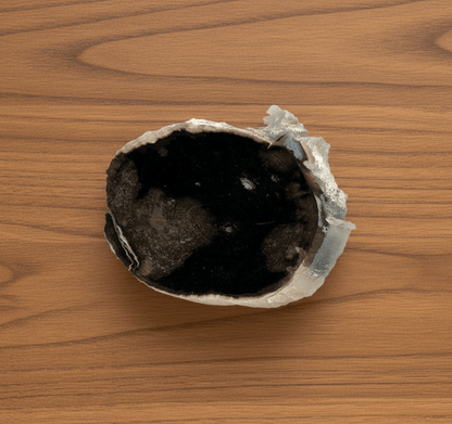 Pepřovník větvička - Supreme Panthers