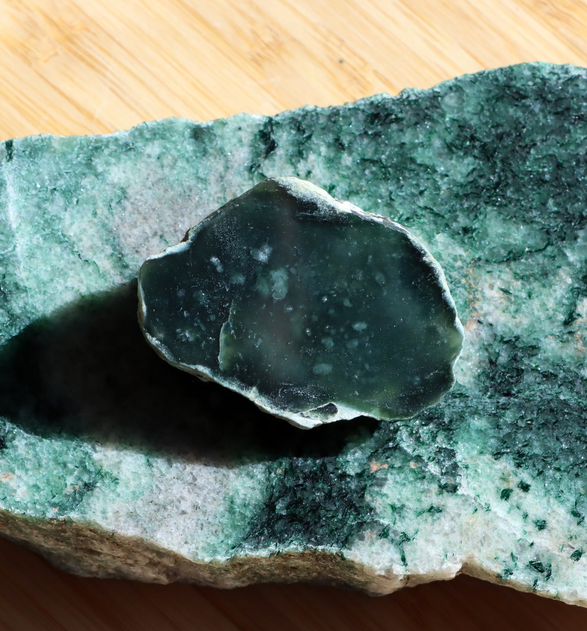 Plazma leštěná - Supreme Panthers