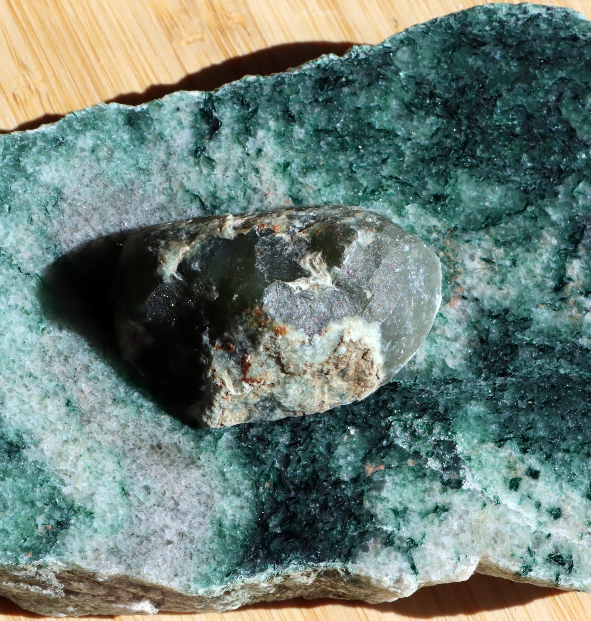 Plazma leštěná - Supreme Panthers