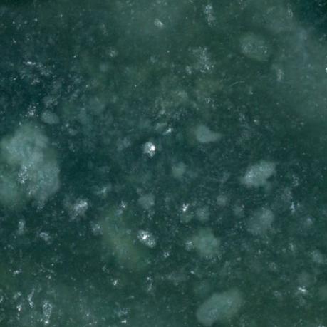 Plazma leštěná - Supreme Panthers