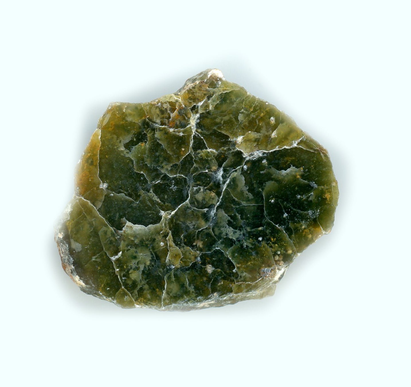 Plazma leštěná - Supreme Panthers