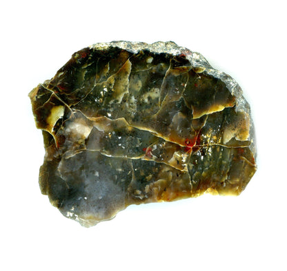 Plazma leštěná - Supreme Panthers