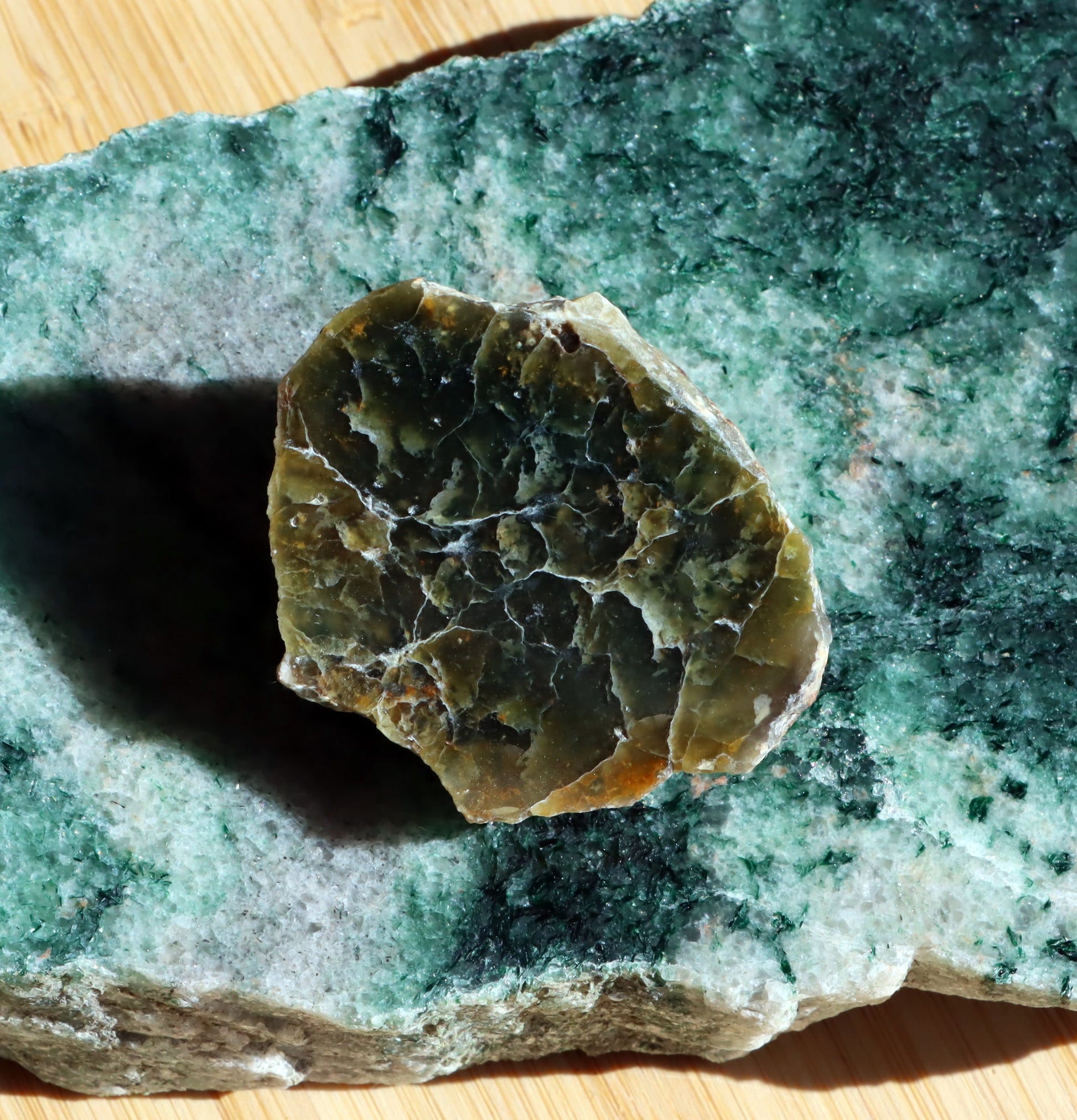 Plazma leštěná - Supreme Panthers