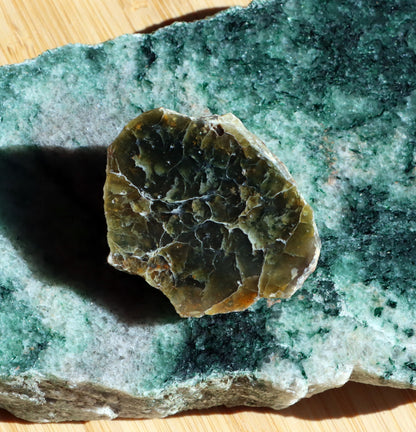 Plazma leštěná - Supreme Panthers